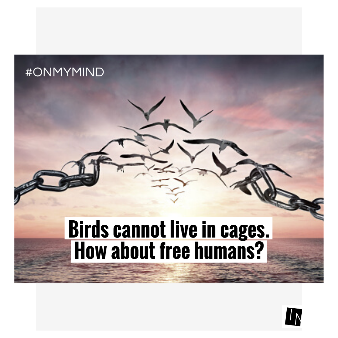 Birds cannot live in cages — community prompt